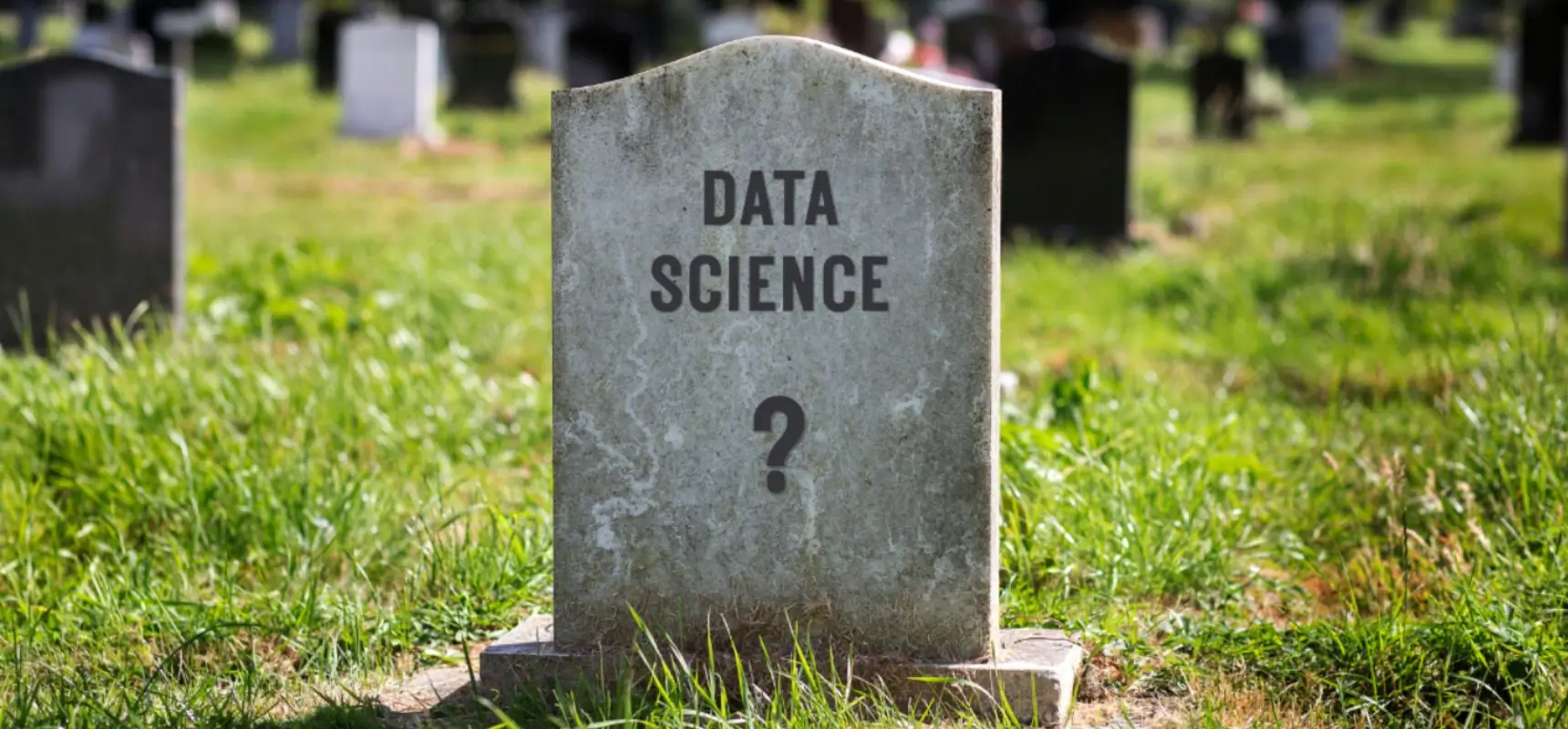 AI and Data Science
